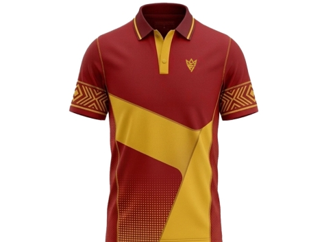 POLO 02 copy