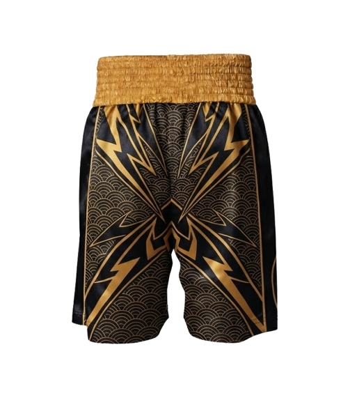 BOXING SHORTS 01x