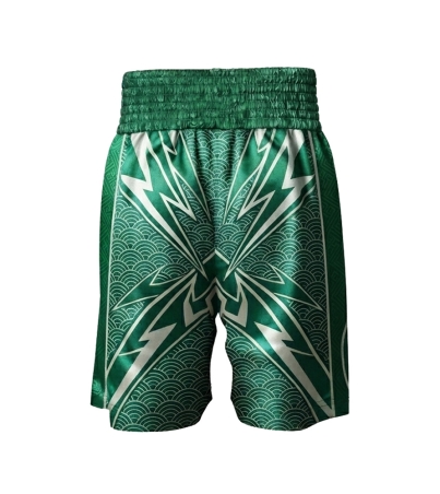 BOXING SHORTS 06x copy